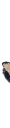 Skip to Main Content